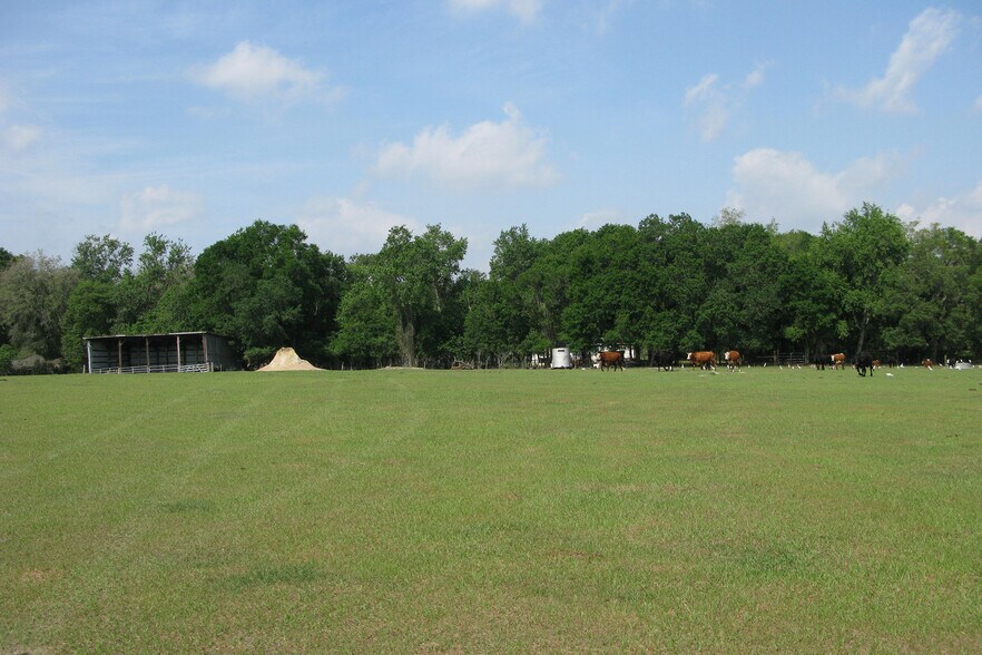 Old Lakeland Hwy, Dade City, FL à vendre - Autre – Image 2 sur 4