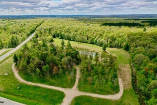 Plus de détails pour M-55 & M-37, Wellston, MI - Terrain à vendre