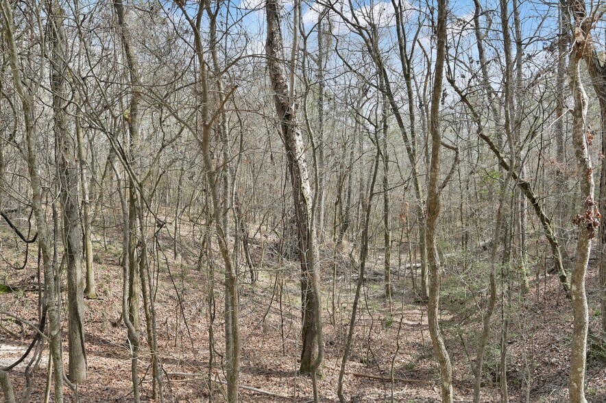 0 Hwy 190, Oakhurst, TX à vendre - Photo principale – Image 1 sur 15