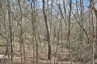 Plus de détails pour 0 Hwy 190, Oakhurst, TX - Terrain à vendre