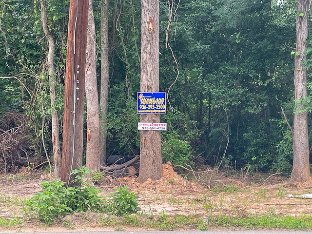 Sleepy Hollow Road, Conroe, TX à vendre - Photo de l’immeuble – Image 2 sur 13