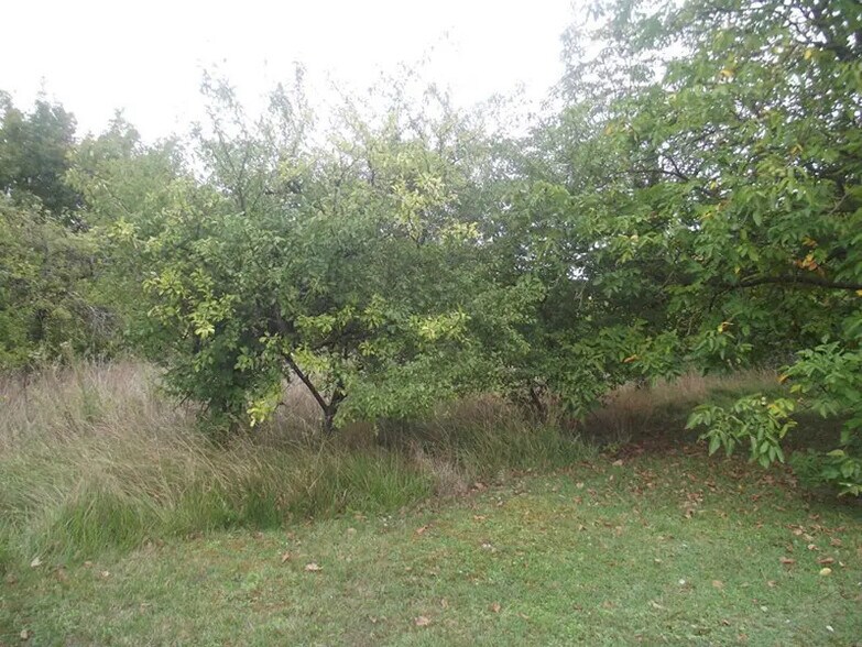 Terrain dans Chavanges à vendre - Photo de l’immeuble – Image 2 sur 2