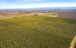 Plus de détails pour Gyle Rd, Corning, CA - Terrain à vendre