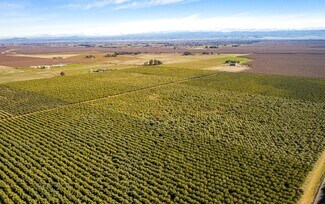 Plus de détails pour Gyle Rd, Corning, CA - Terrain à vendre