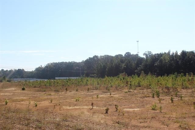 8861 U S Highway 31, Hanceville, AL à vendre - Autre – Image 1 sur 1