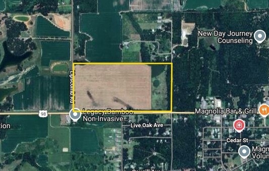 14251 US 98 hwy, Magnolia Springs, AL à vendre - Photo principale – Image 1 sur 14