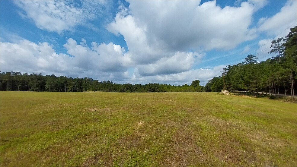 0 Rush Rd, Huntsville, TX à vendre - Photo de l’immeuble – Image 2 sur 16