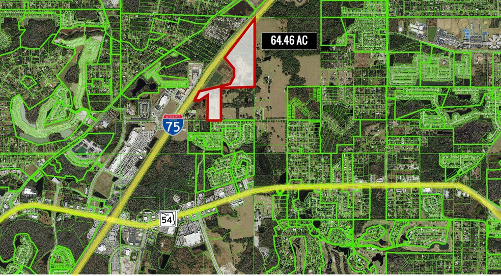 28651 Tupper Rd, Wesley Chapel, FL à vendre - Photo de l’immeuble – Image 3 sur 6