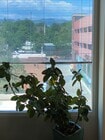 Suite 330 Office Views
