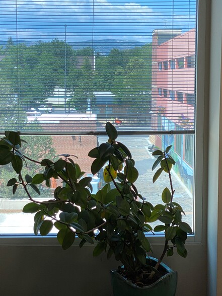 View Photo