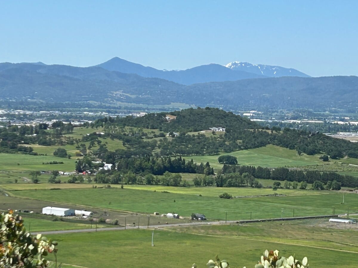 View Photo