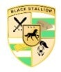 Black Stallion Realty