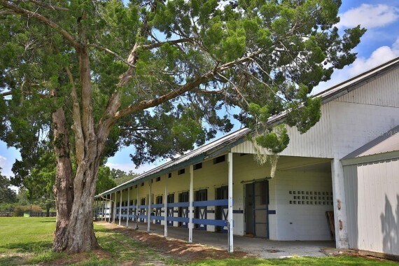 12219 SW 26th St, Ocala, FL à vendre - Photo de l’immeuble – Image 2 sur 11