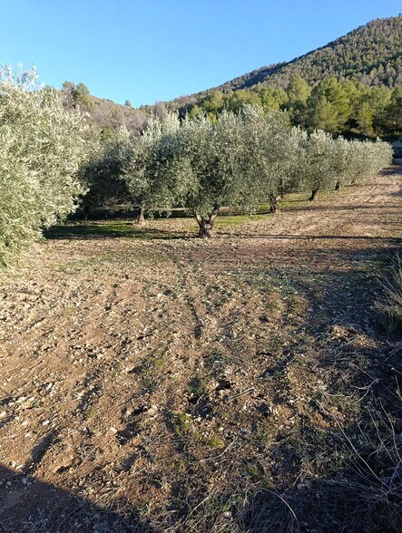Terrain dans Bullas à vendre - Photo de l’immeuble – Image 1 sur 8