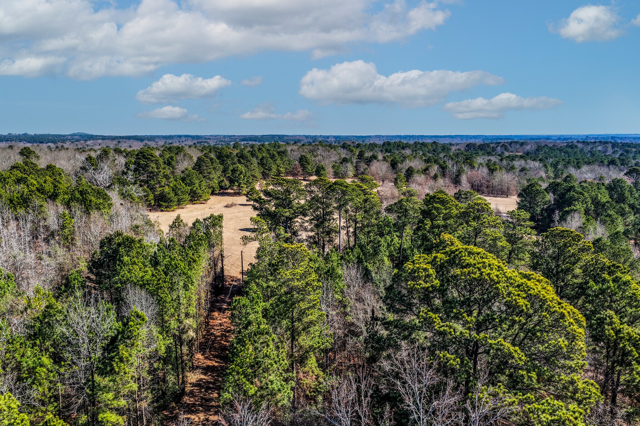 1609 County Road 246 S rd, Tyler, TX à vendre Photo principale– Image 1 sur 42