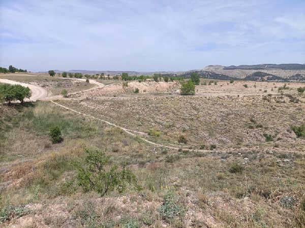 Calle Sierra de Armantes, 24, Calatayud, Zaragoza à vendre - Autre – Image 2 sur 4