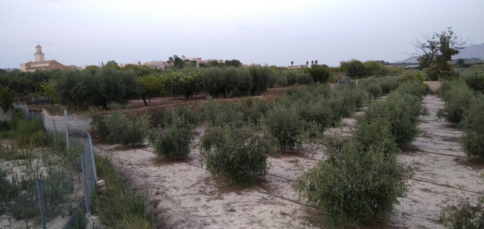 Terrain dans Cehegín, Murcia à vendre - Photo de l’immeuble – Image 2 sur 37
