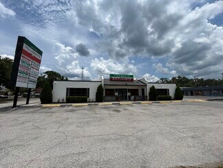 Plus de détails pour 102 Flagship Dr, Lutz, FL - Local commercial à louer