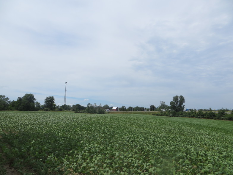 M-52, Chelsea, MI à vendre - Photo de l’immeuble – Image 3 sur 12
