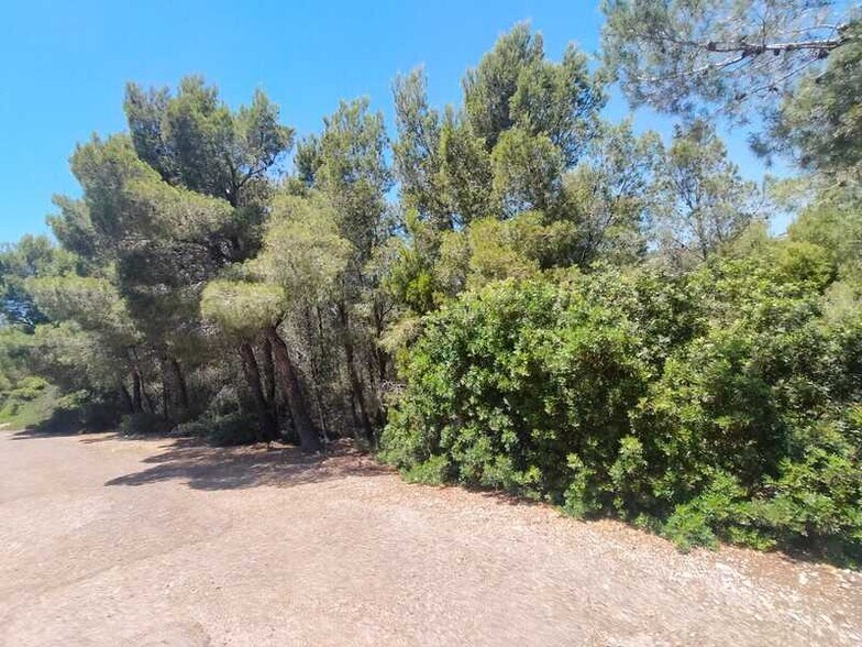el Pinar, Alcalà de Xivert, Castellón à vendre - Photo principale – Image 3 sur 9