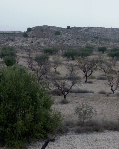 Terrain dans Molina de Segura, Murcia à vendre - Photo de l’immeuble – Image 1 sur 2