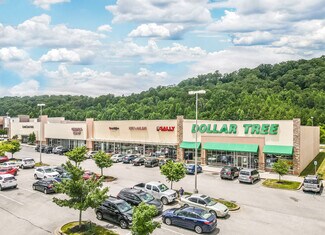 Plus de détails pour 4700-4730 New Harvest Ln, Knoxville, TN - Local commercial à louer