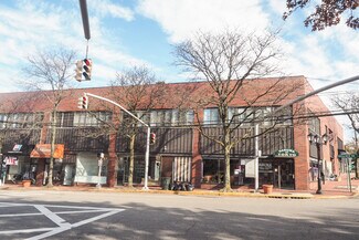 Plus de détails pour 17 Maple Dr, Great Neck, NY - Local commercial à louer