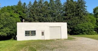 Plus de détails pour 10612 Chillicothe Rd, Kirtland, OH - Local commercial à louer