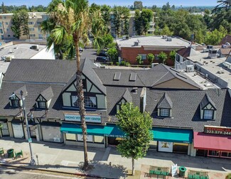 Plus de détails pour 17007-17015 Ventura Blvd, Encino, CA - Bureau à vendre