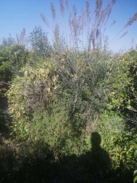 Frente Carrefour, Castellon, Castelló de la Plana, Castellón à vendre - Photo de l’immeuble – Image 3 sur 3