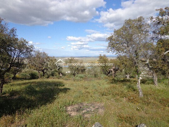 Terrain dans Sierra de Fuentes, Cáceres à vendre Photo principale– Image 1 sur 9