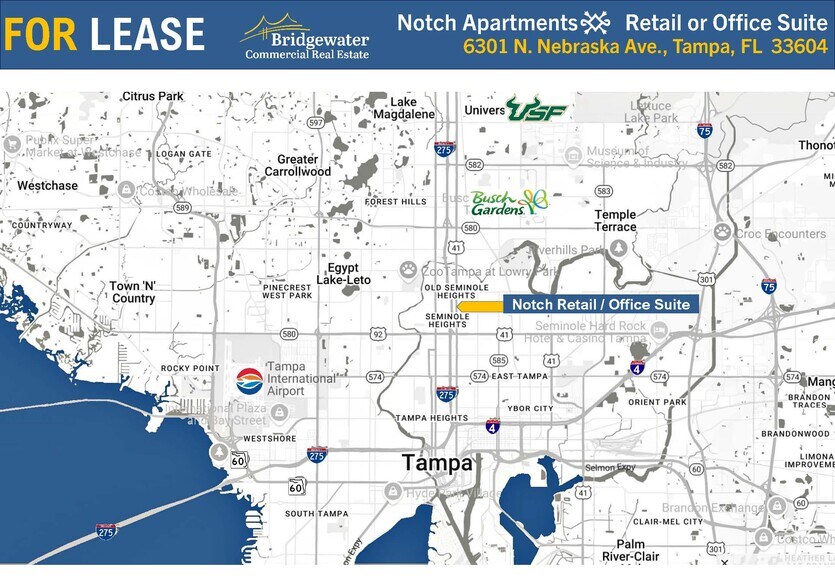 6301 N Nebraska Ave, Tampa, FL à louer - Photo de l’immeuble – Image 3 sur 15