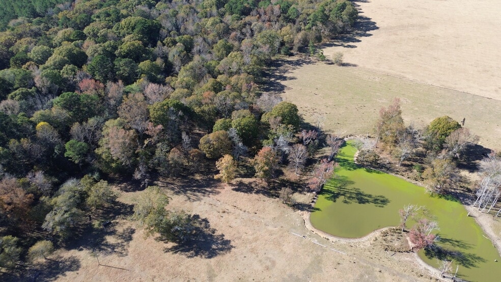269 Pea Ridge Rd, Montrose, GA à vendre - Aérien – Image 3 sur 22