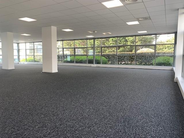 46 Chemin De La Bruyère, Dardilly à louer - Photo intérieure – Image 1 sur 19