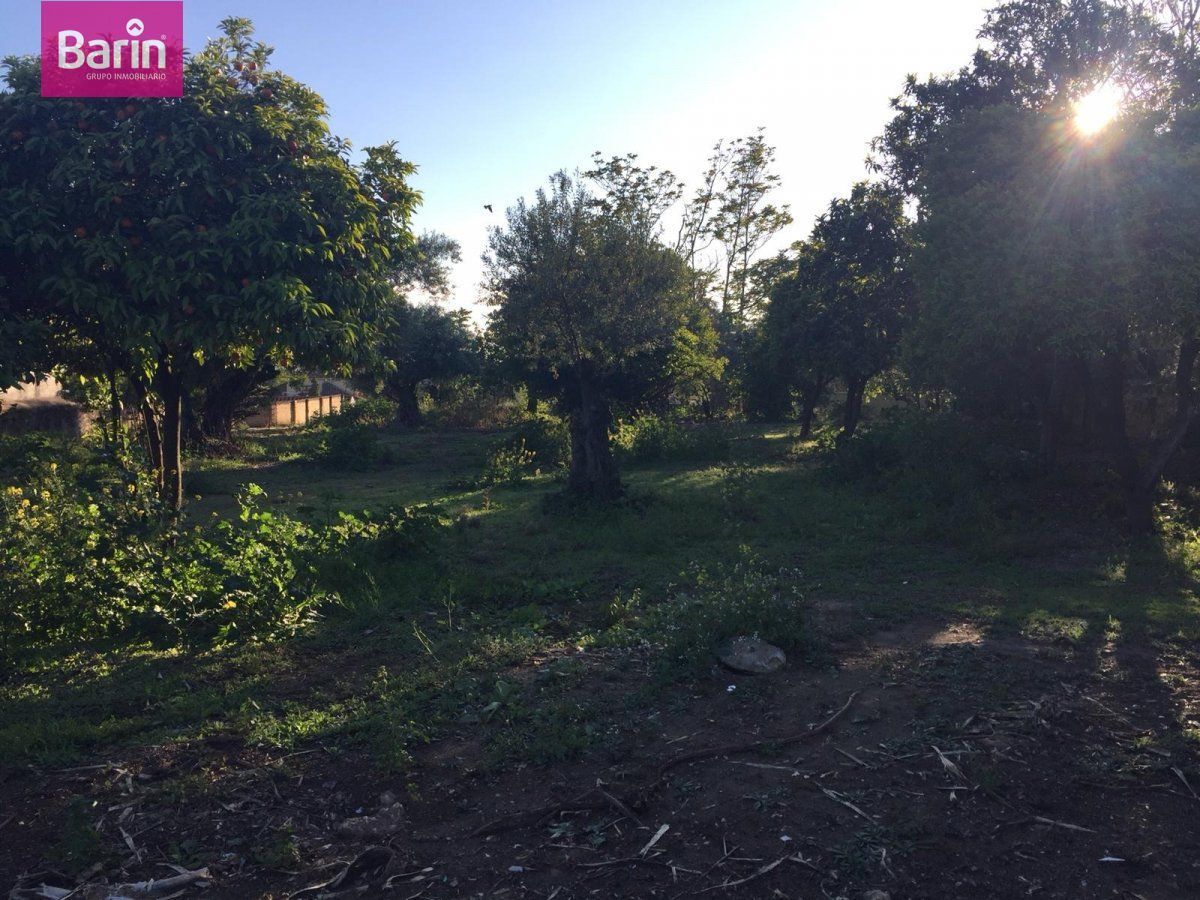 Terrain dans Córdoba, Córdoba à vendre Photo principale– Image 1 sur 7