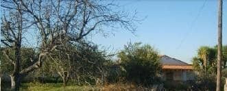Terrain dans Ontinyent, Valencia à vendre - Photo de l’immeuble – Image 3 sur 4
