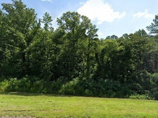 Plus de détails pour 7867 Alabama Hwy 79, Pinson, AL - Terrain à vendre
