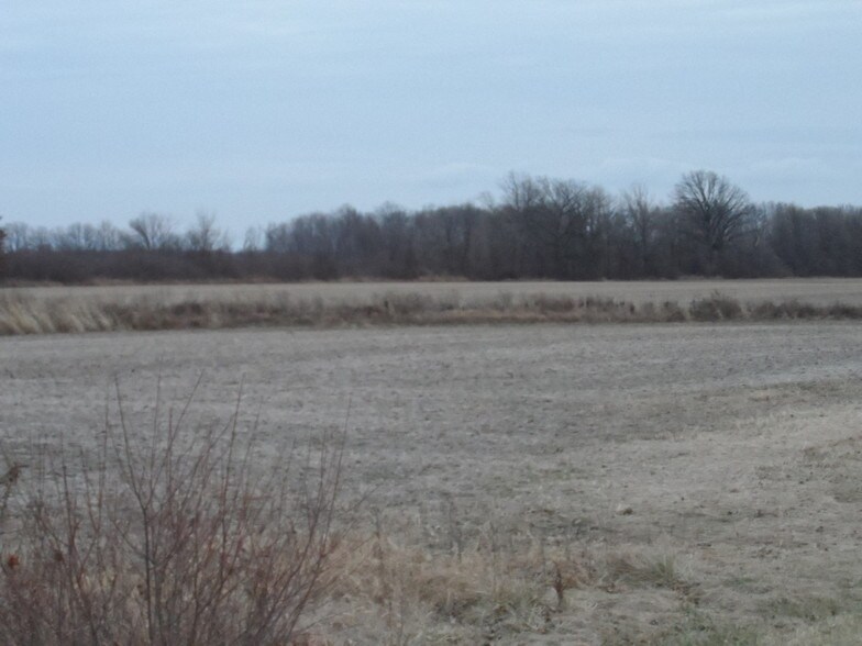 1808 E Labo Rd, Carleton, MI à vendre - Photo de l’immeuble – Image 3 sur 11