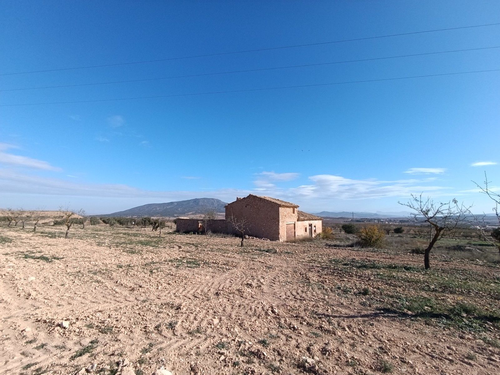 Terrain dans Yecla, Murcia à vendre Photo principale– Image 1 sur 21