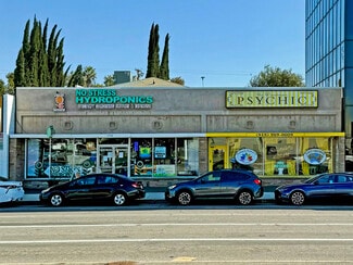 Plus de détails pour 4738-4742 Woodman Ave, Sherman Oaks, CA - Local commercial à vendre