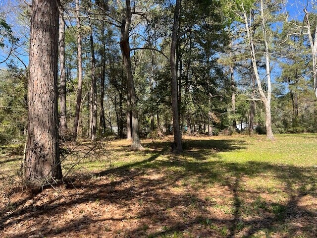 13527 McComb Rd, Conroe, TX à vendre - Autre – Image 2 sur 8