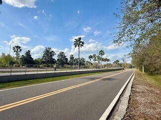 Plus de détails pour 698 Pauls Drive, Brandon, FL - Terrain à vendre