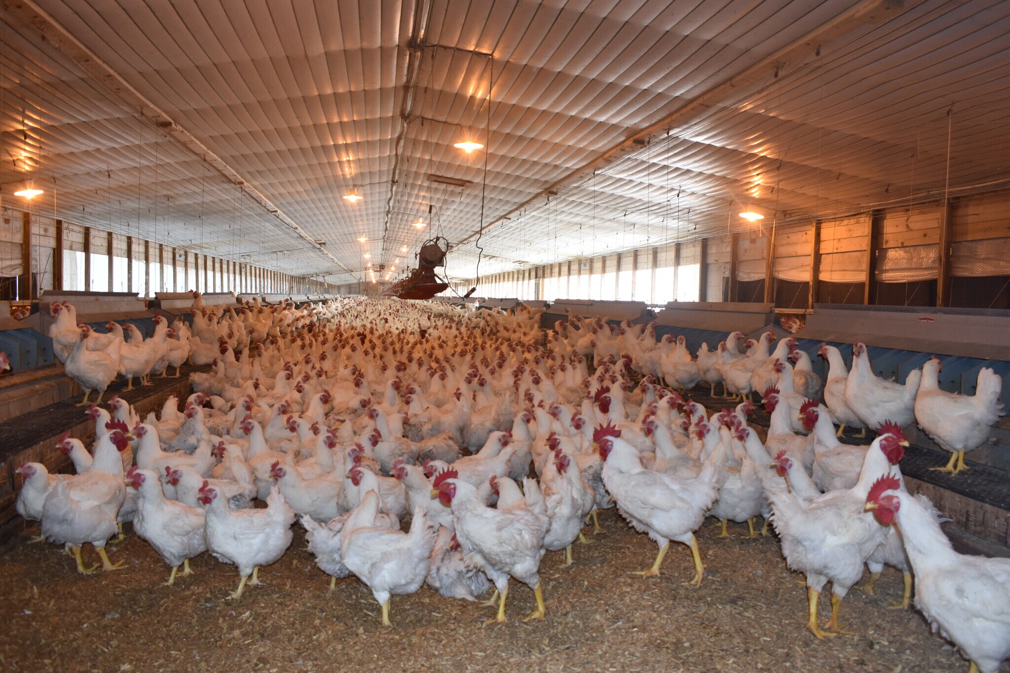 441 Weaver Rd, Moultrie, GA à vendre Photo principale– Image 1 sur 184