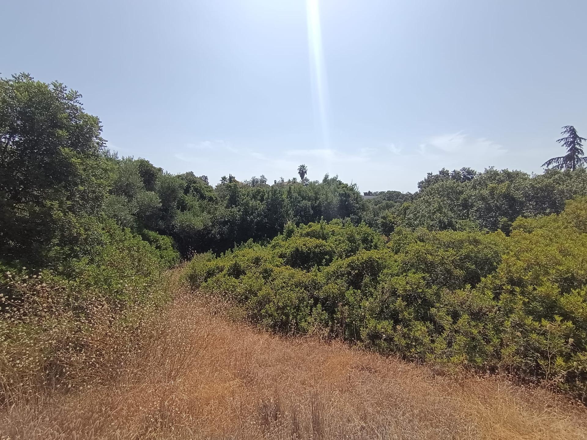 Terrain dans Córdoba, Córdoba à vendre Aérien– Image 1 sur 7