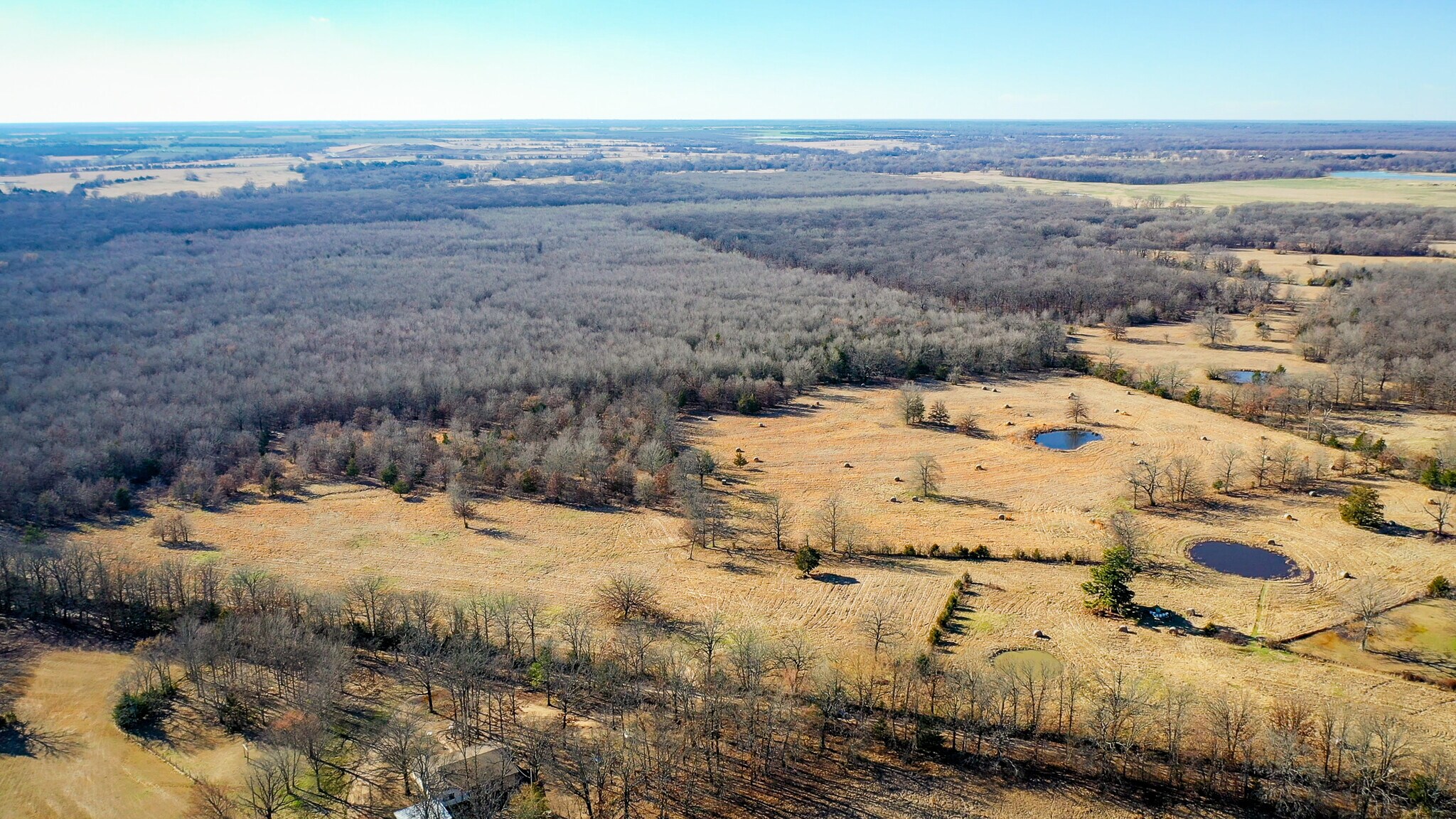 1200 County 1255 rd, Detroit, TX à vendre Photo principale– Image 1 sur 79