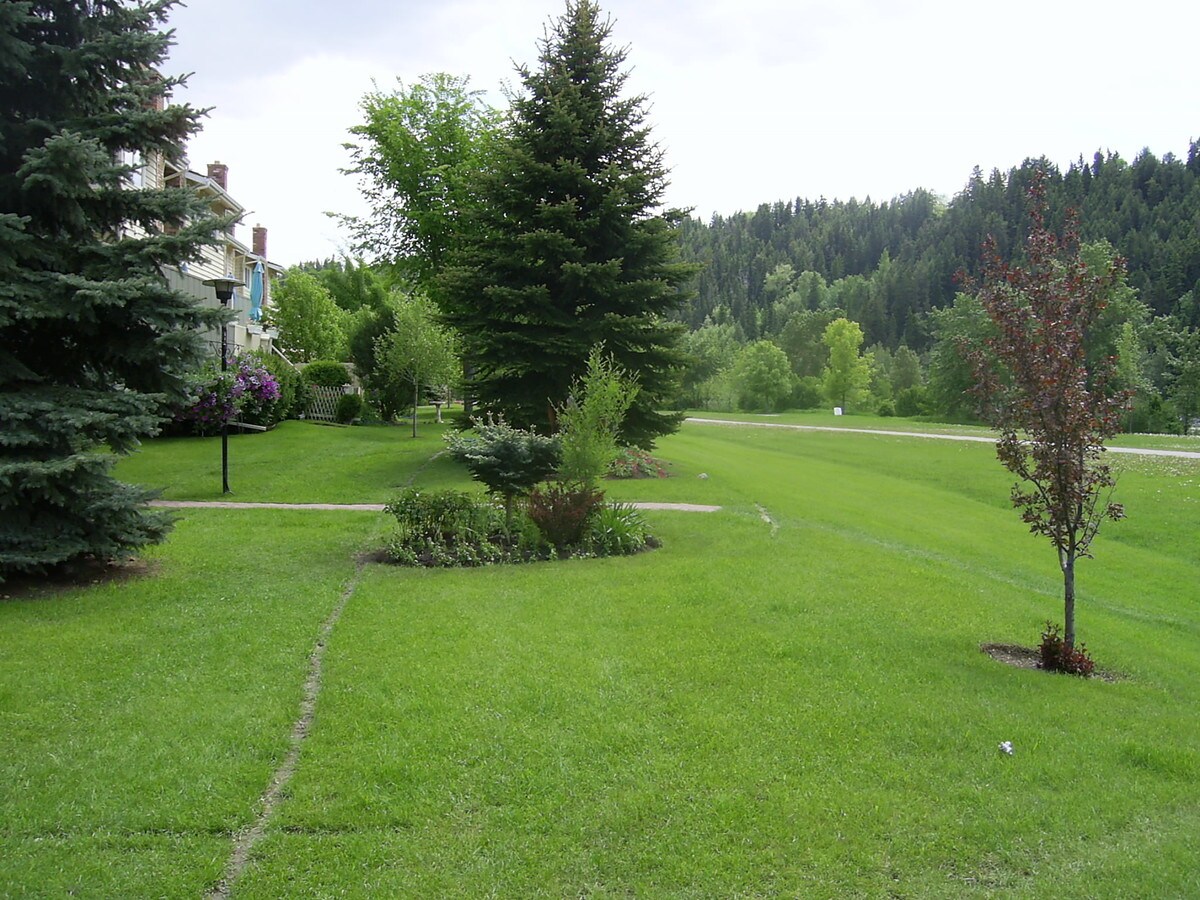 View Photo