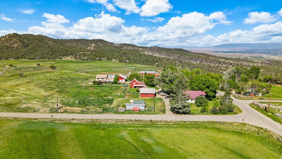 41990 Cottonwood Creek Rd, Crawford, CO à vendre - Photo de l’immeuble – Image 2 sur 75