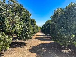 Plus de détails pour Famoso Rd., Bakersfield, CA - Terrain à vendre