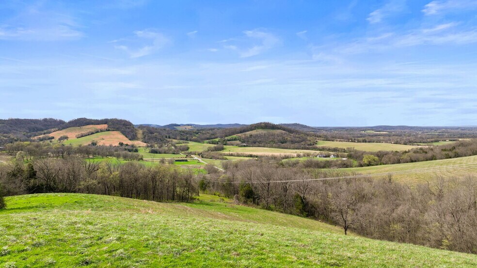 0 McLaughlin Rd, Shelbyville, TN à vendre - Photo principale – Image 1 sur 28