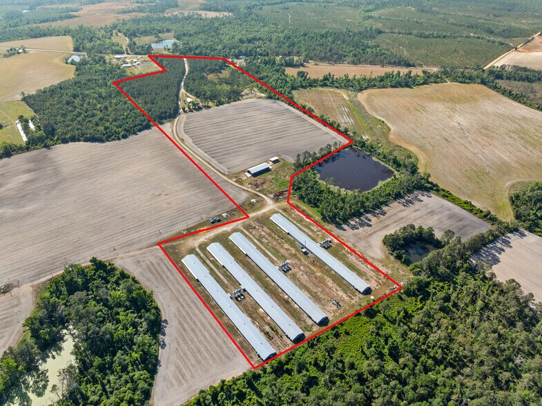 40 Azalea Ln, Hazlehurst, GA à vendre - Aérien – Image 3 sur 15